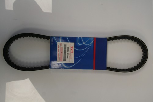 Cinghia trasmissione